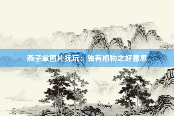 燕子掌图片抚玩：独有植物之好意思