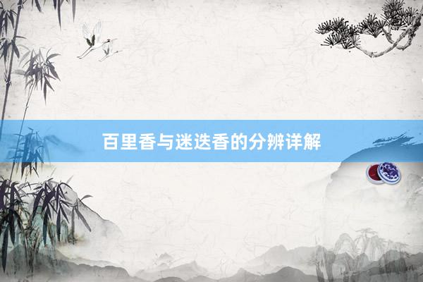 百里香与迷迭香的分辨详解