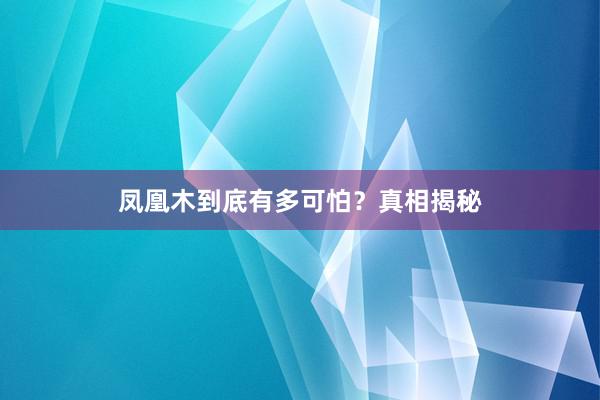 凤凰木到底有多可怕？真相揭秘