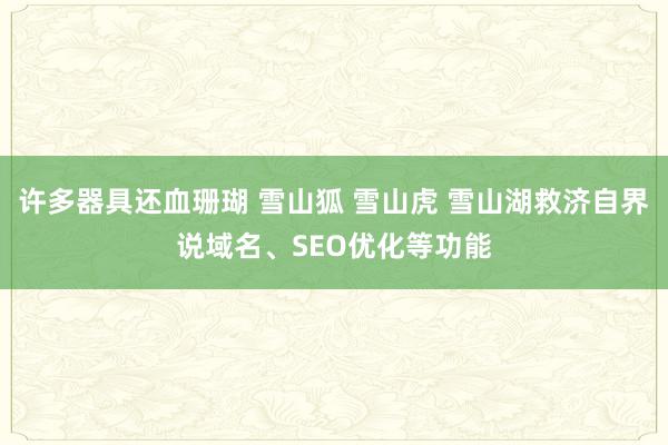 许多器具还血珊瑚 雪山狐 雪山虎 雪山湖救济自界说域名、SEO优化等功能