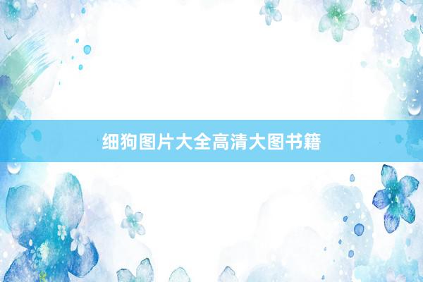 细狗图片大全高清大图书籍