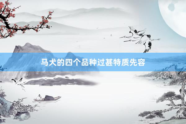 马犬的四个品种过甚特质先容